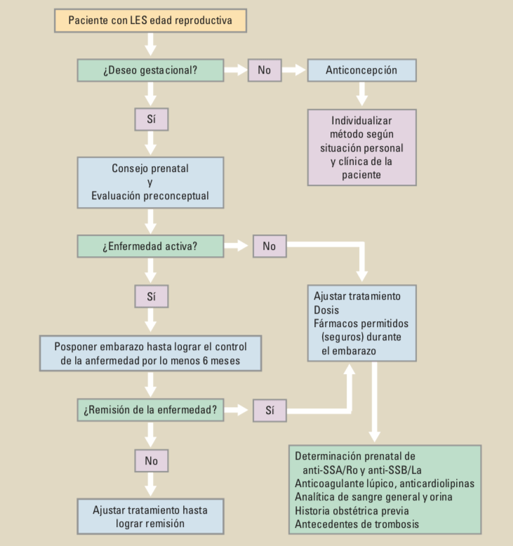 Captura de pantalla 2019-03-28 a la(s) 01.04.35.png