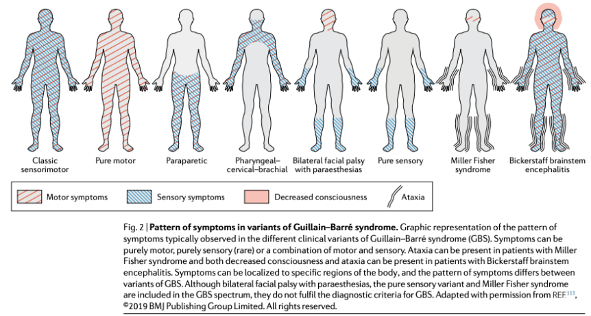 Captura de Pantalla 2019-12-26 a la(s) 09.10.41