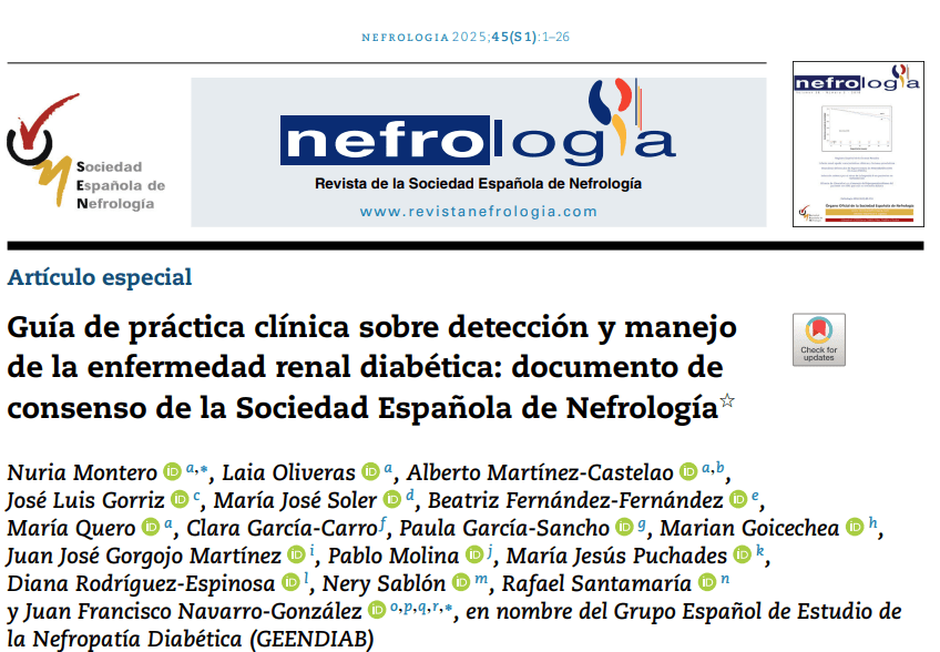 Guía 2025 sobre Enfermedad Renal Diabética: Documento de Consenso de la&nbsp;SEN