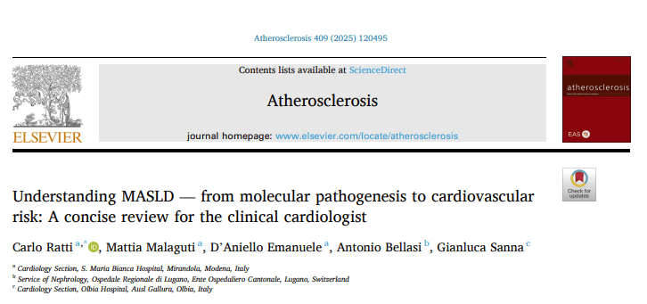 Comprender la esteatohepatitis alcohólica (MASLD): desde la patogénesis molecular hasta el riesgo cardiovascular: una revisión concisa para el cardiólogo&nbsp;clínico
