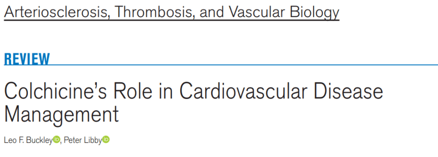 El rol de la colchicina en el manejo de la enfermedad&nbsp;cardiovascular