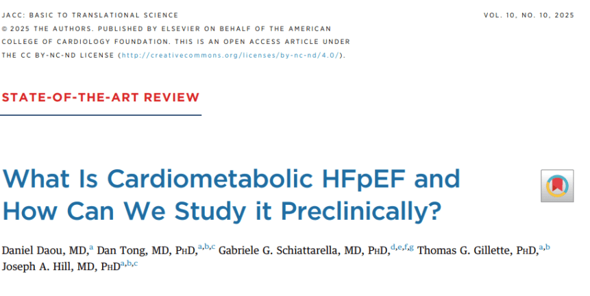 ¿Qué es la ICFEp cardiometabólica y cómo podemos estudiarla preclínicamente?