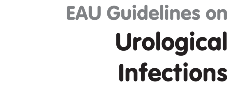 Infecciones Urológicas 2026